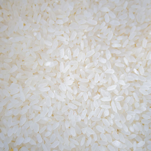 medium grain rice
