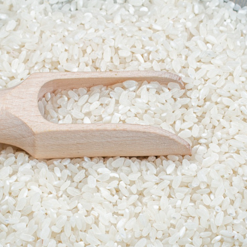 short grain rice